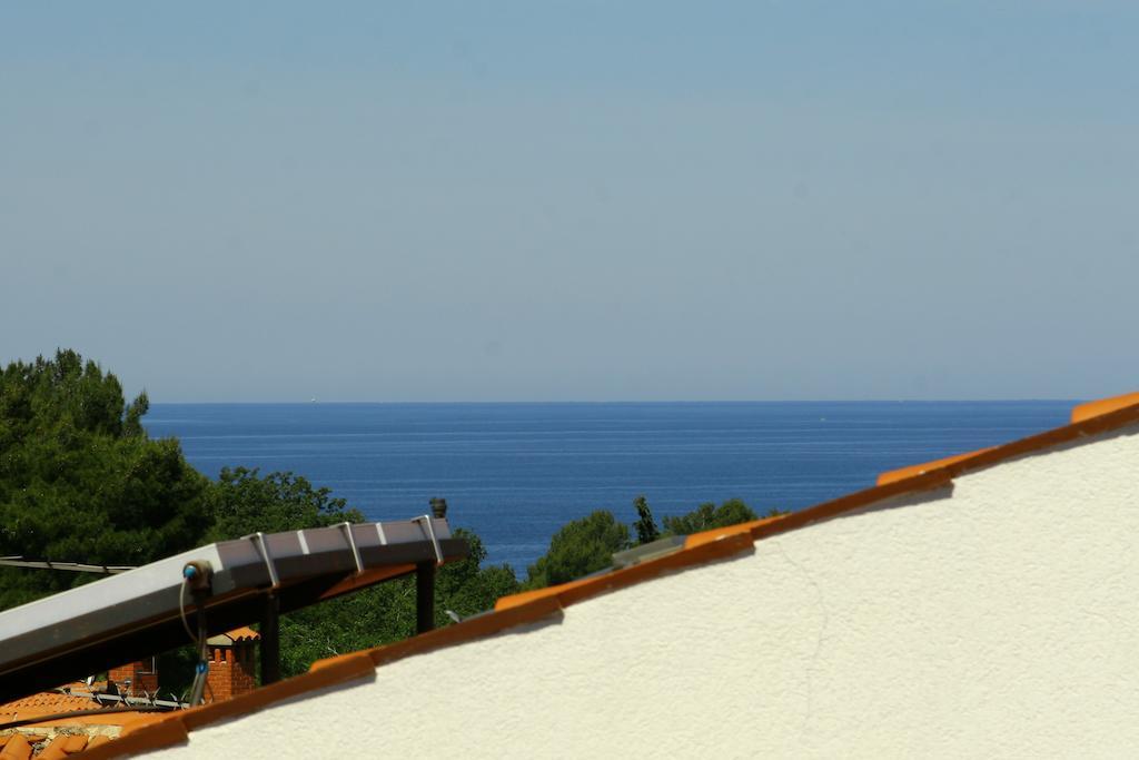 Apartments Rossana Poreč Oda fotoğraf